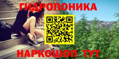 а пвп мука Гусев