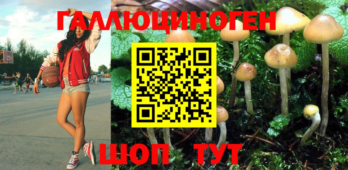 Михайловск  где купить наркоту  Вход с VPN  Псилоцибиновые грибы MAGIC MUSHROOMS  Галлюциногенные грибы прущие грибы 
