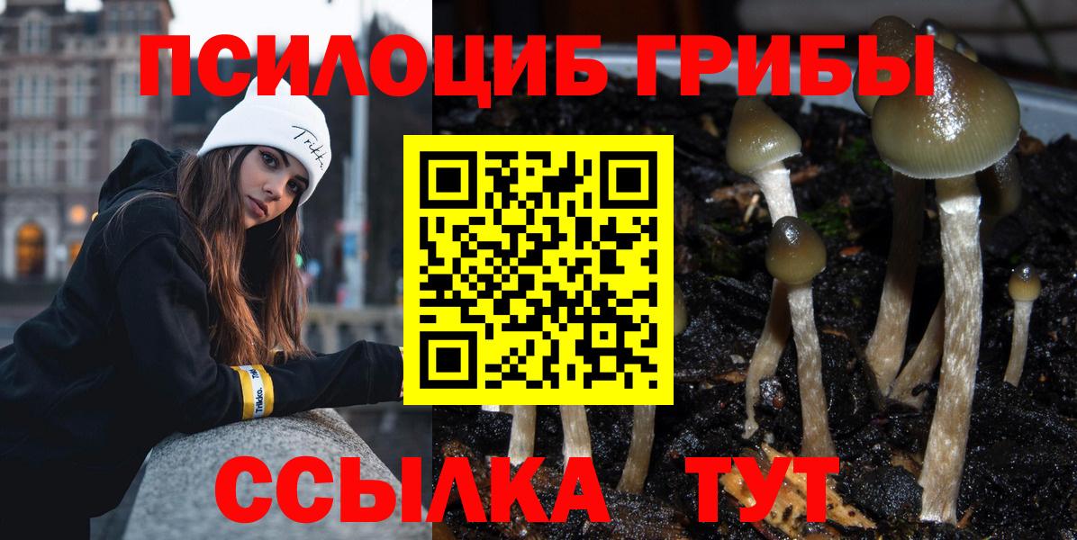 Псилоцибиновые грибы ЛСД Михайловск