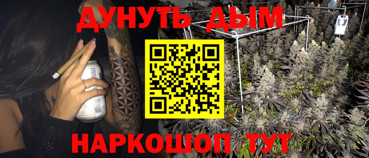 Бошки Шишки план Михайловск